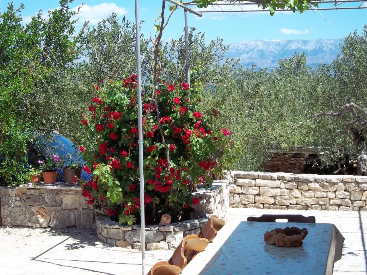 Ruza * Mirca (Brac)